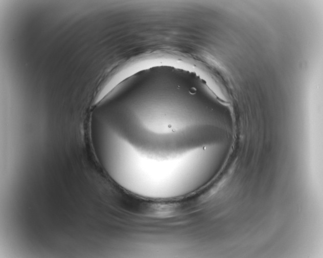 X0000088741305200706212049