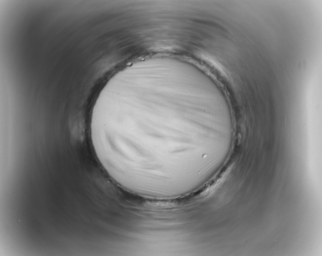 X0000088741306200706212049