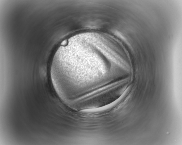 X0000088741307200706212049