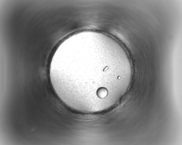 X0000088741308200706212049