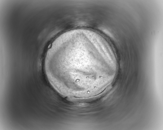 X0000088741309200706212049