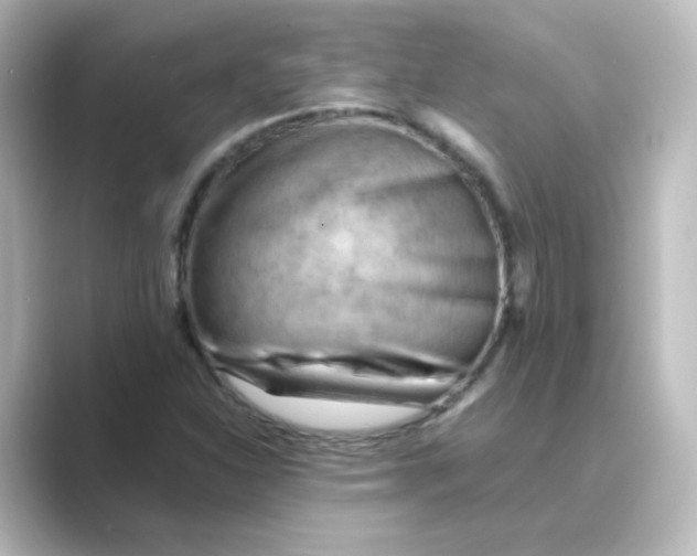 X0000088741310200706212050