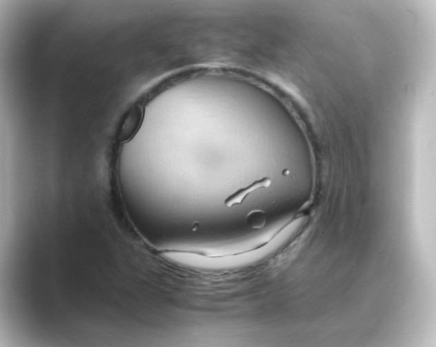 X0000088741311200706212050