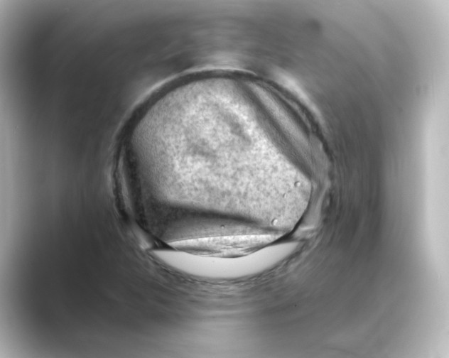 X0000088741312200706212050