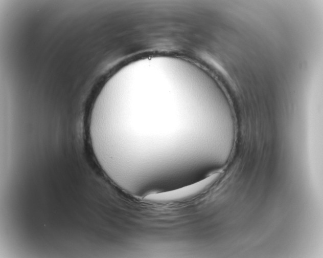 X0000088741315200706212050