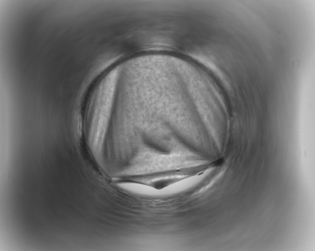 X0000088741317200706212050