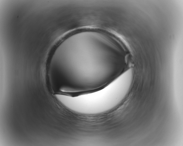 X0000088741319200706212050