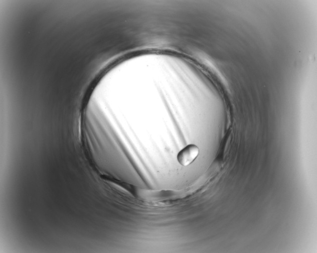 X0000088741320200706212050