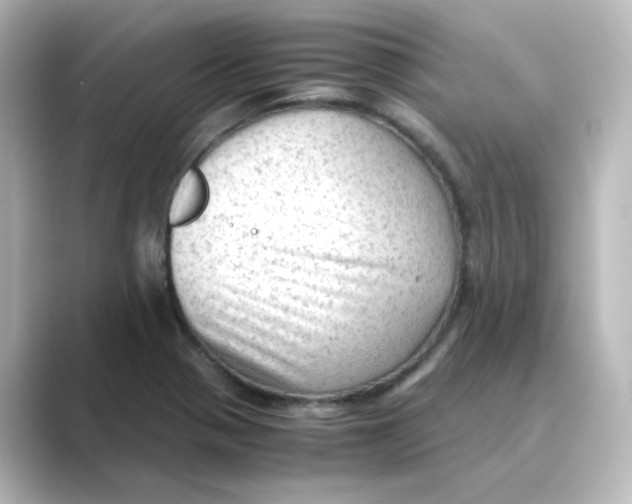 X0000088741321200706212050