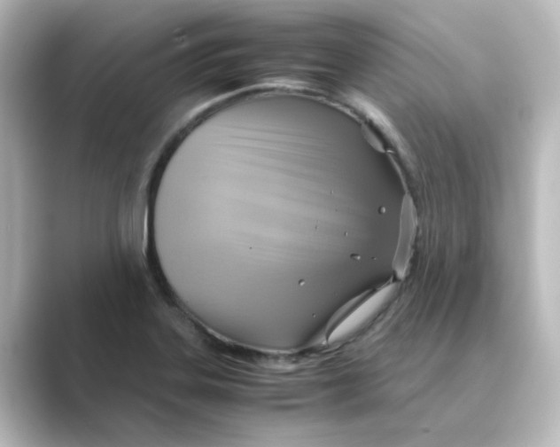 X0000088741323200706212050