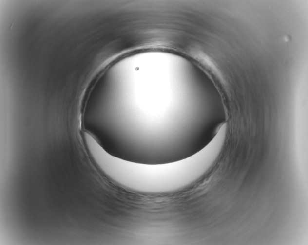 X0000088741324200706212050