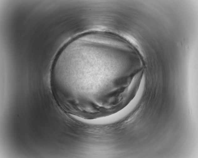 X0000088741326200706212050