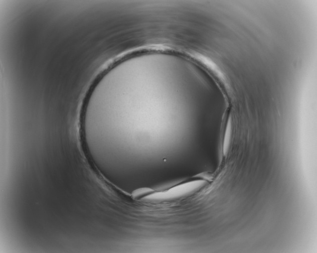 X0000088741327200706212050