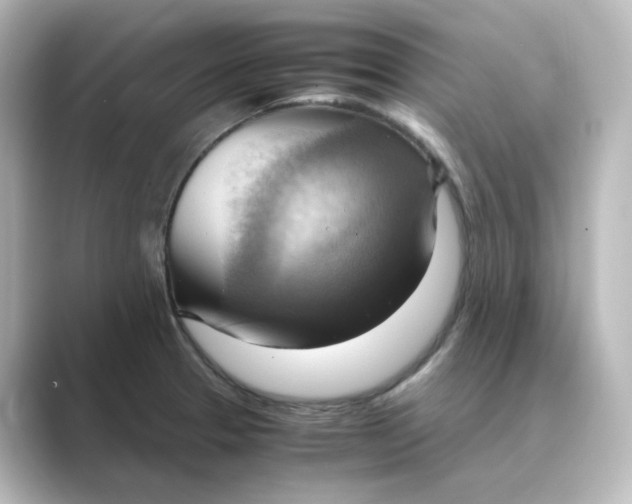 X0000088741329200706212050