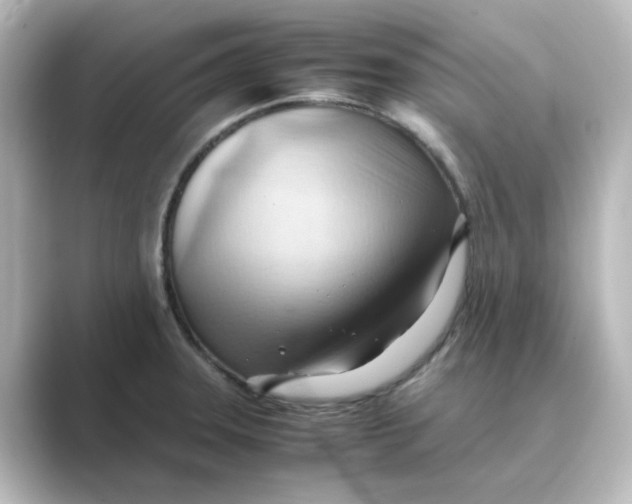 X0000088741331200706212050