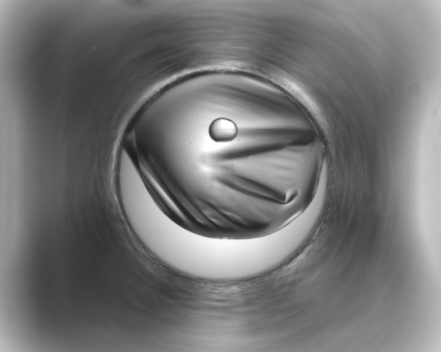 X0000088741332200706212050