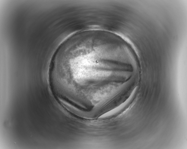 X0000088741333200706212050