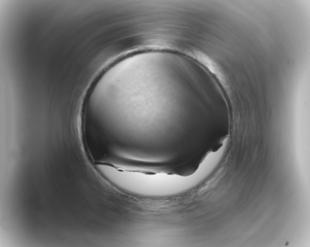 X0000088741334200706212050