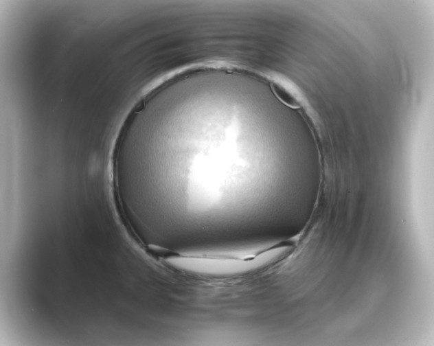 X0000088741335200706212050