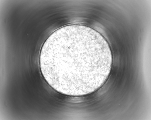 X0000088741338200706212050