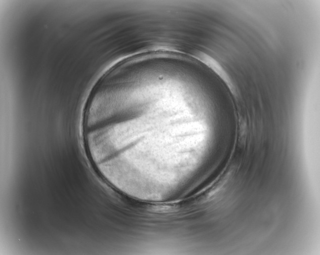 X0000088741339200706212050