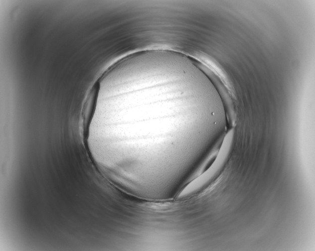 X0000088741340200706212050
