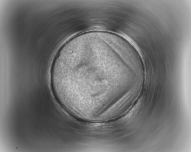 X0000088741341200706212050