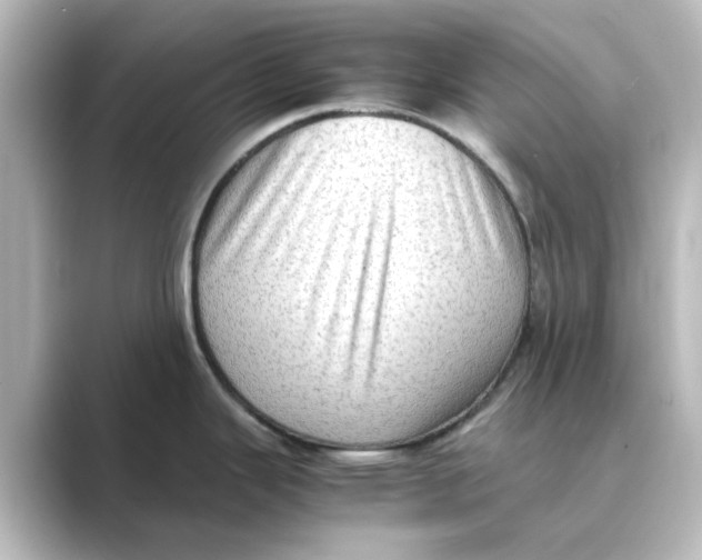 X0000088741343200706212050