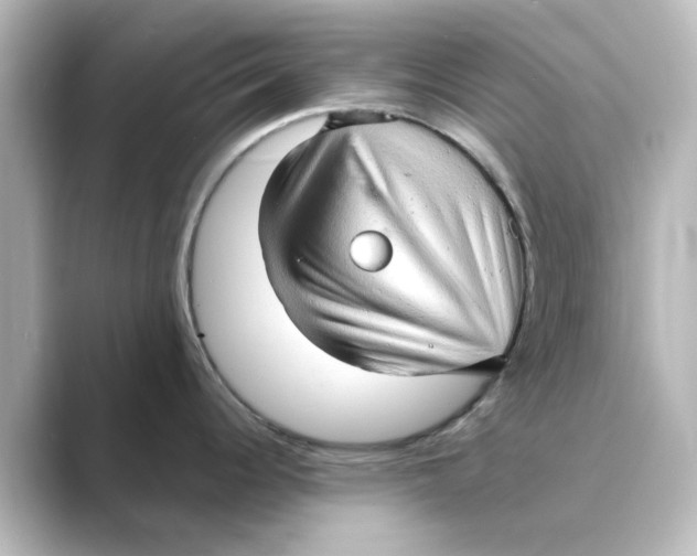 X0000088741344200706212050