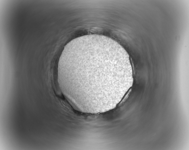 X0000088741345200706212049