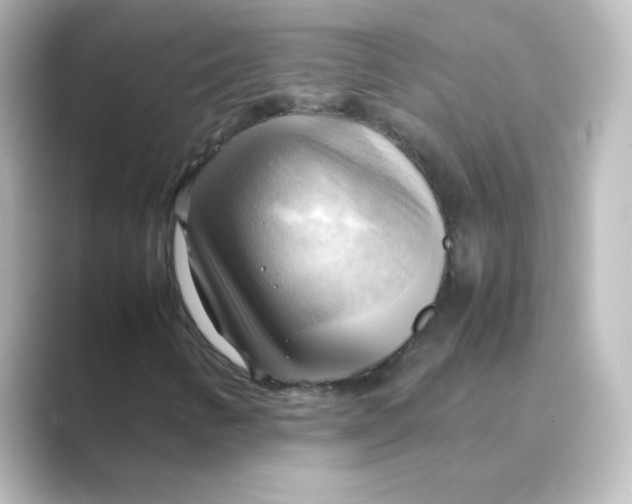 X0000088741346200706212049