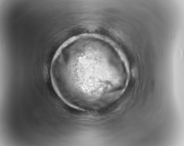 X0000088741347200706212049