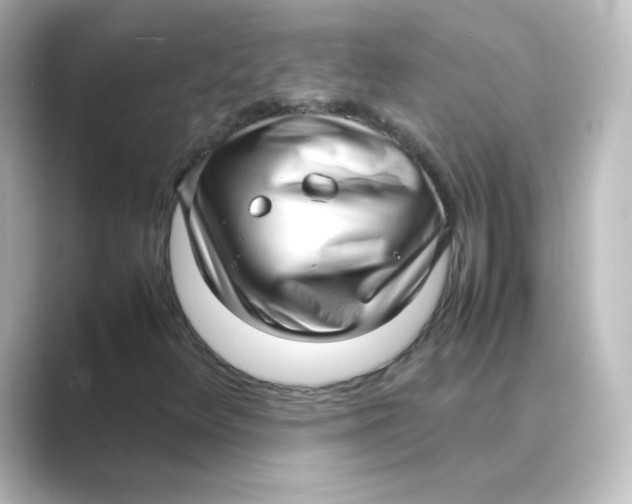 X0000088741348200706212049