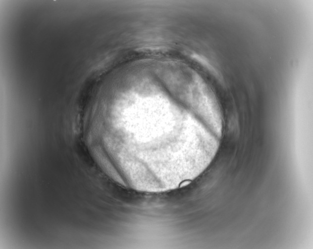 X0000088741350200706212049