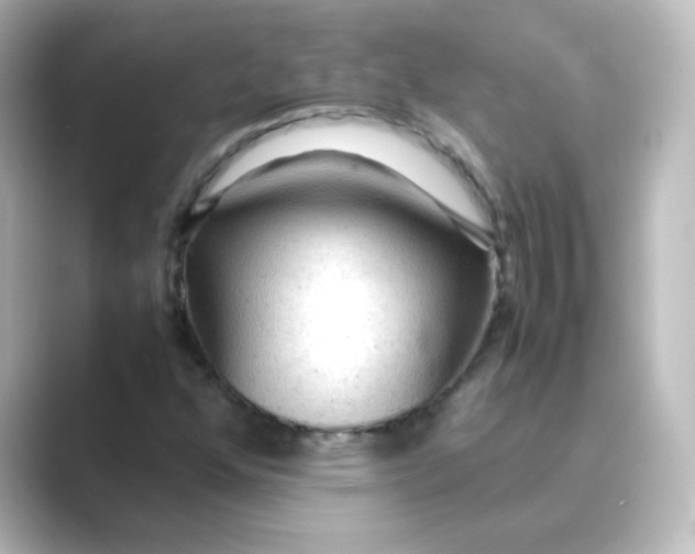 X0000088741352200706212049