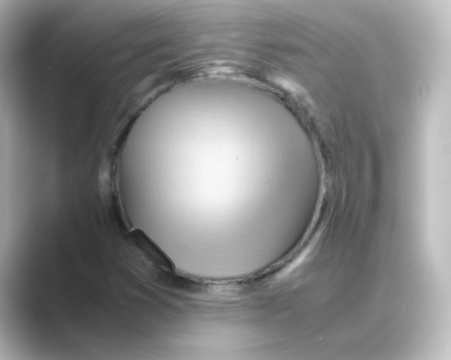 X0000088741353200706212049