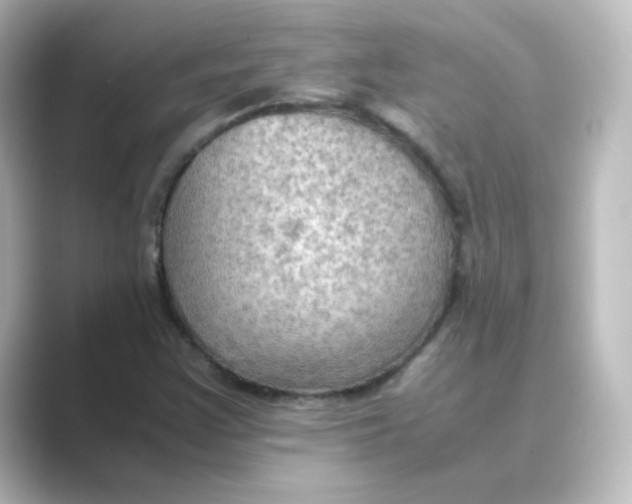 X0000088741355200706212049