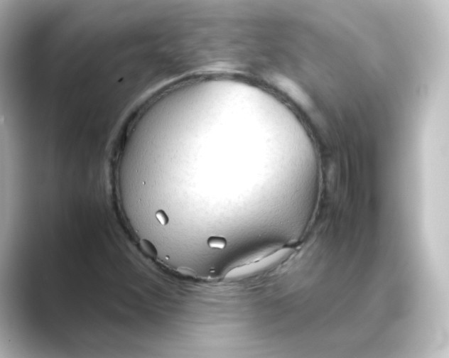 X0000088741356200706212049