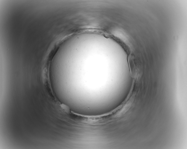 X0000088741357200706212049