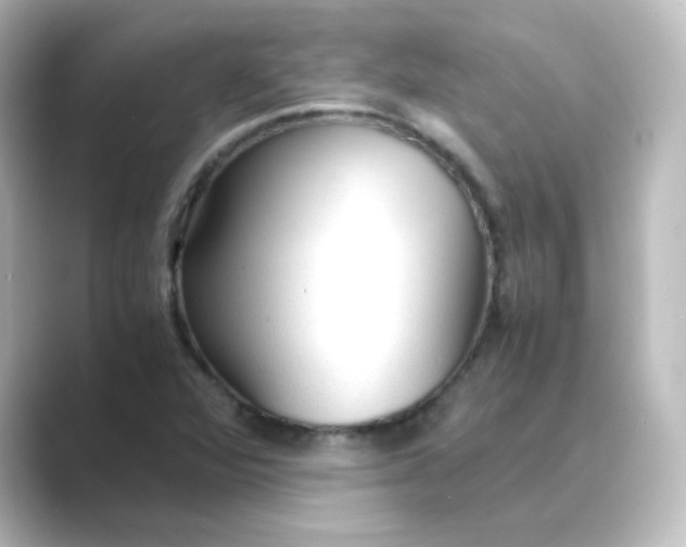 X0000088741360200706212049