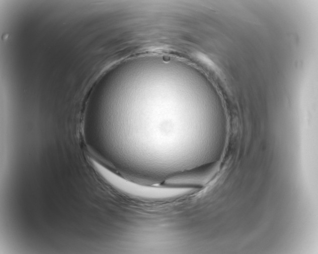 X0000088741361200706212049