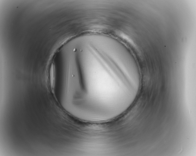 X0000088741362200706212049