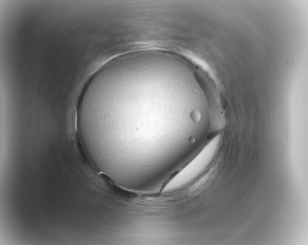 X0000088741365200706212049