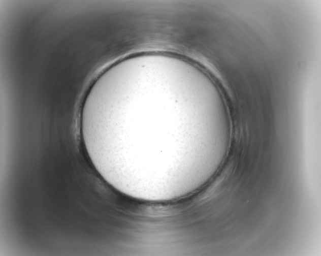 X0000088741366200706212049