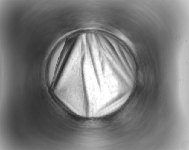 X0000088741368200706212049