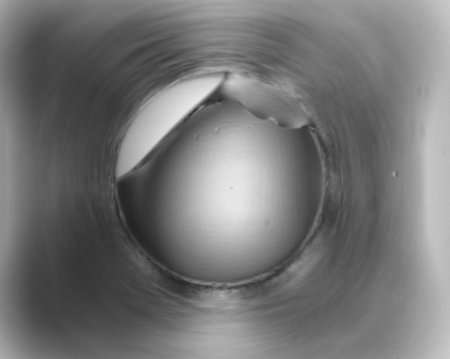 X0000088741369200706212049