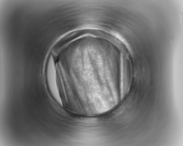 X0000088741372200706212049