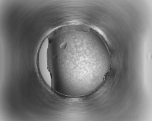 X0000088741373200706212049