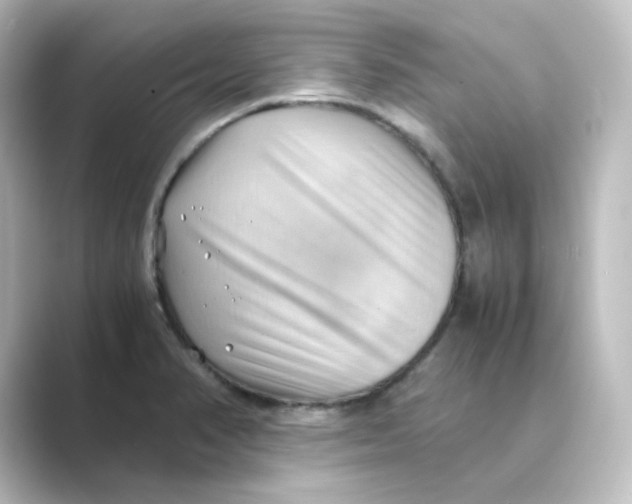 X0000088741374200706212049