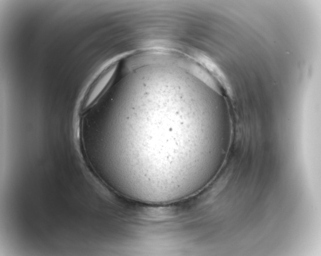 X0000088741376200706212049